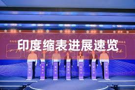 印度缩表进展速览