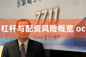 杠杆与配资风险概览 oc