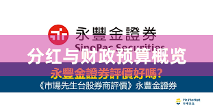 分红与财政预算概览